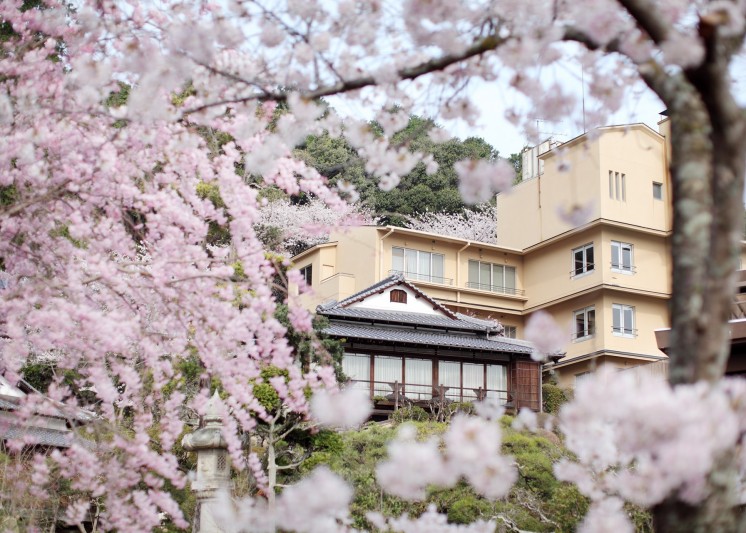 春には満開の桜に囲まれて