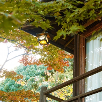 秋色に染まりゆく庭園と調和する数寄屋造り離れ