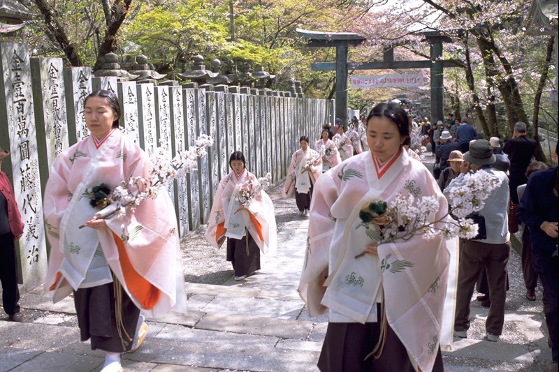 讃岐路に春の訪れを告げる ～金刀比羅宮『桜花祭』～ | トピックス詳細