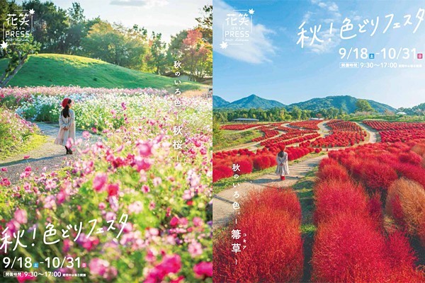 国営讃岐まんのう公園「秋！色どりフェスタ」開催！ | トピックス詳細