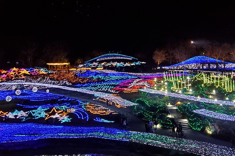 国営讃岐まんのう公園イルミネーションバスツアー | トピックス詳細