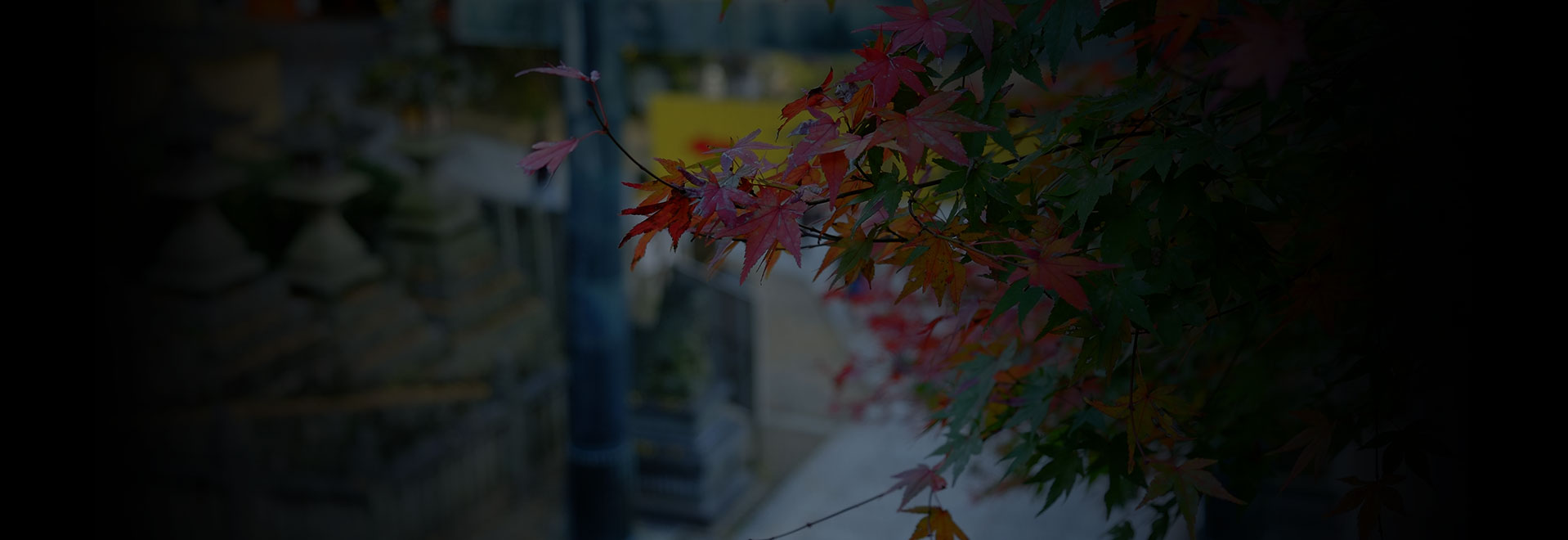 讃岐路探訪TOPの画像